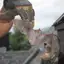 Bat removal technician safely handling a bat near a roofline in {city}, {state}